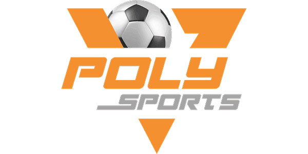 পলি-কালার partner logo